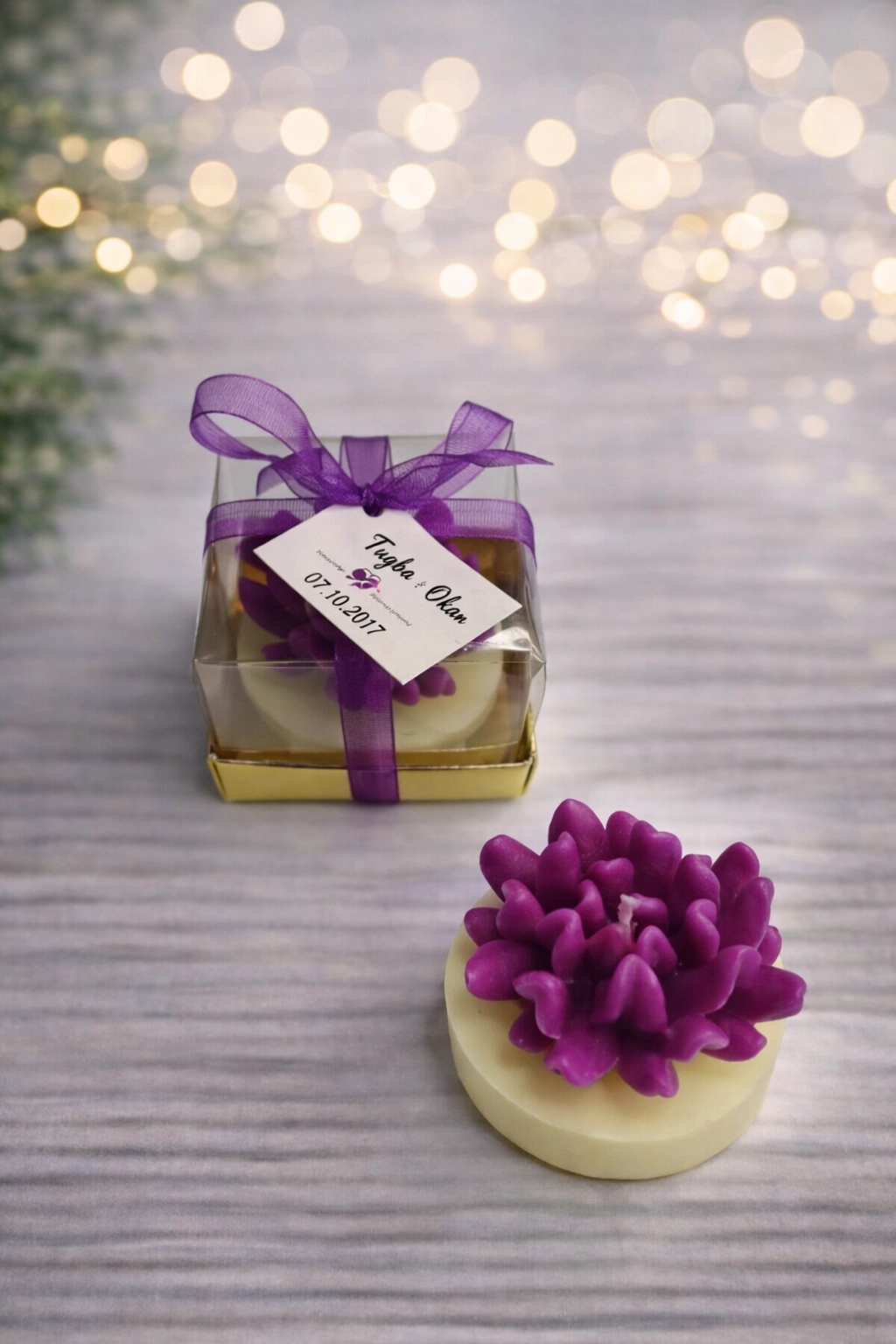 Sukulent Mum Model 14