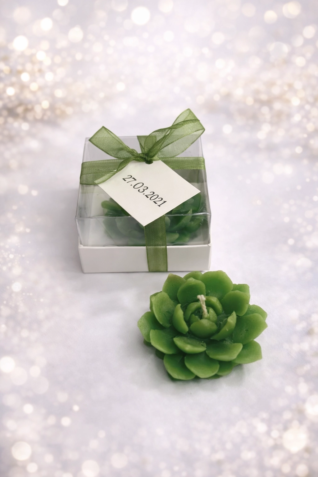 SUKULENT MUM 10 MODELİ