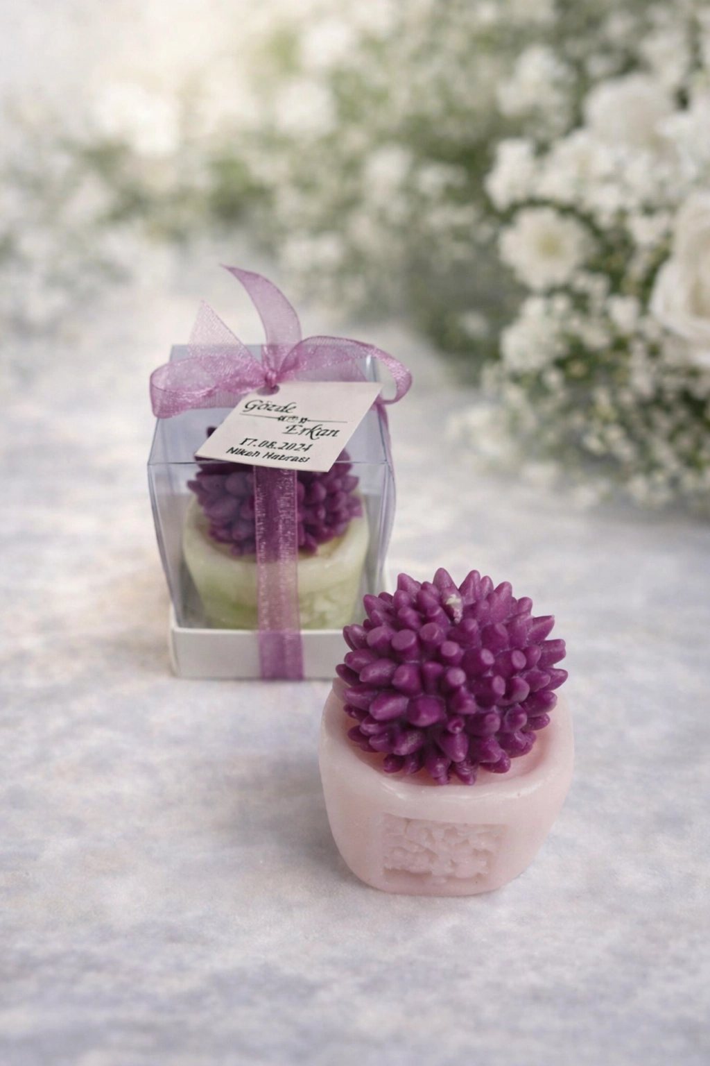 SUKULENT MUM 2 MODELİ