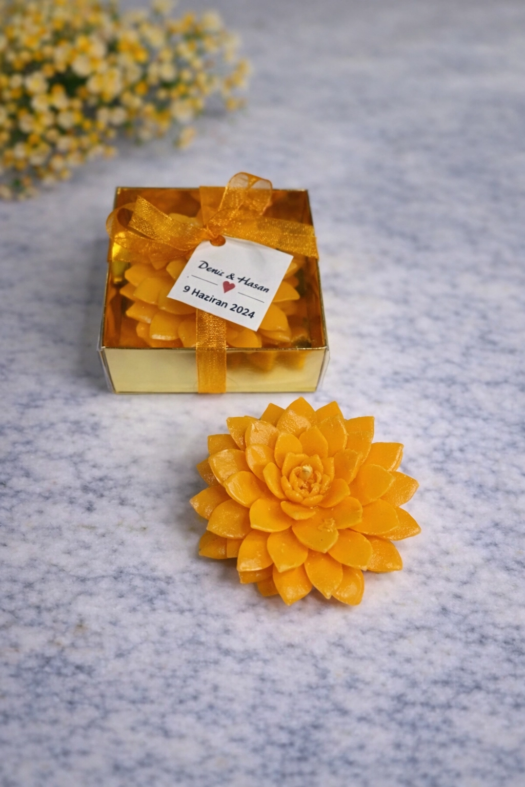 Sukulent Mum Model 9 