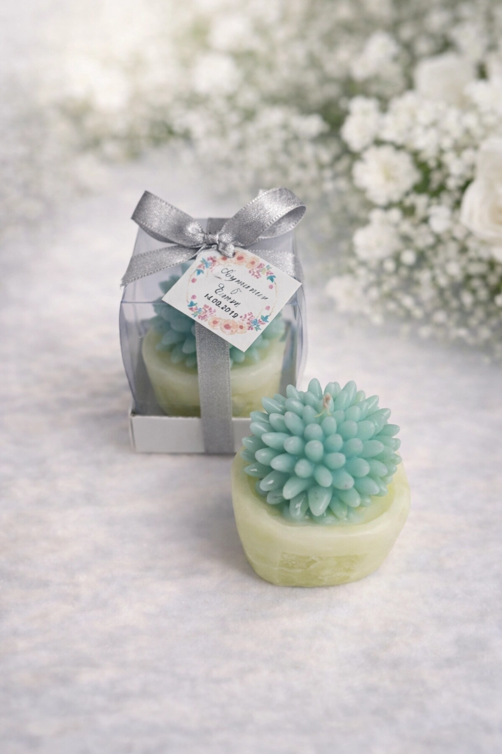 SUKULENT MUM 2 MODELİ