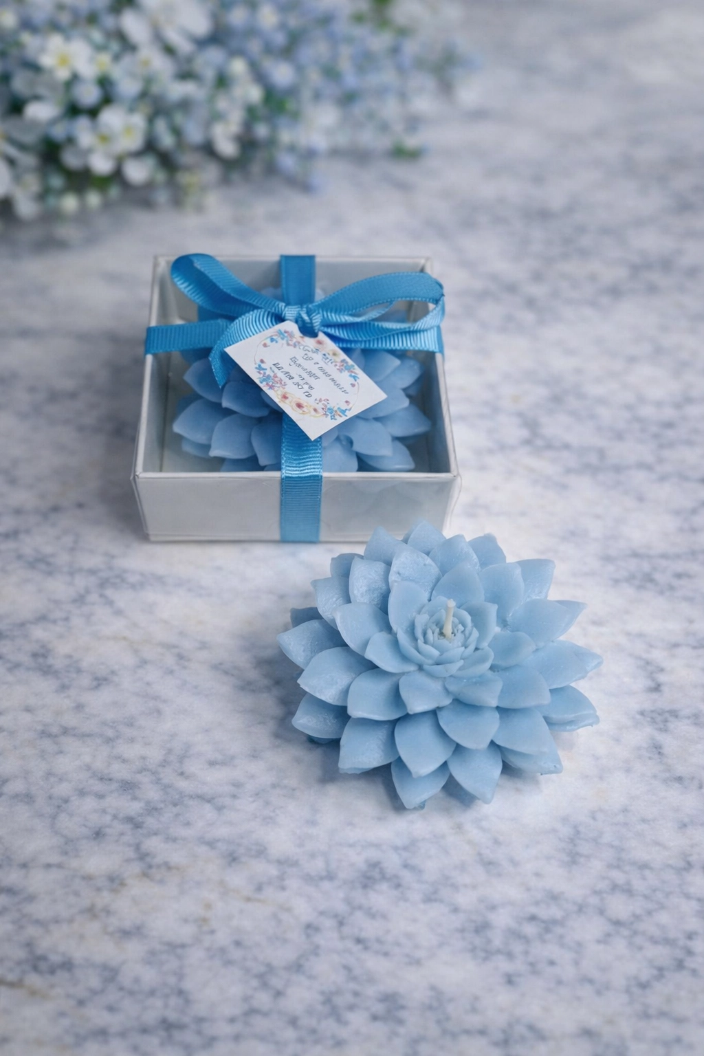 Sukulent Mum Model 9 