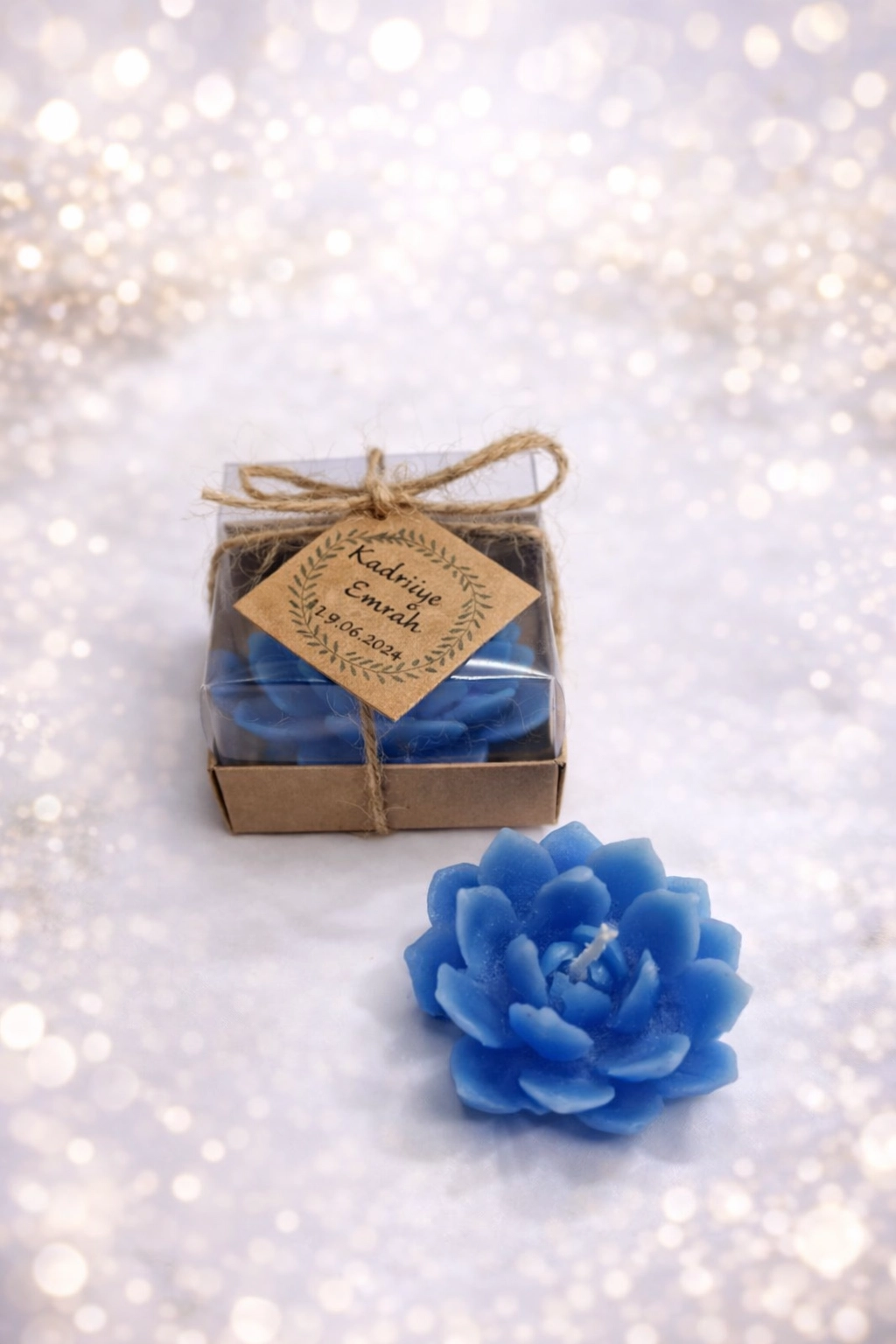 SUKULENT MUM 10 MODELİ