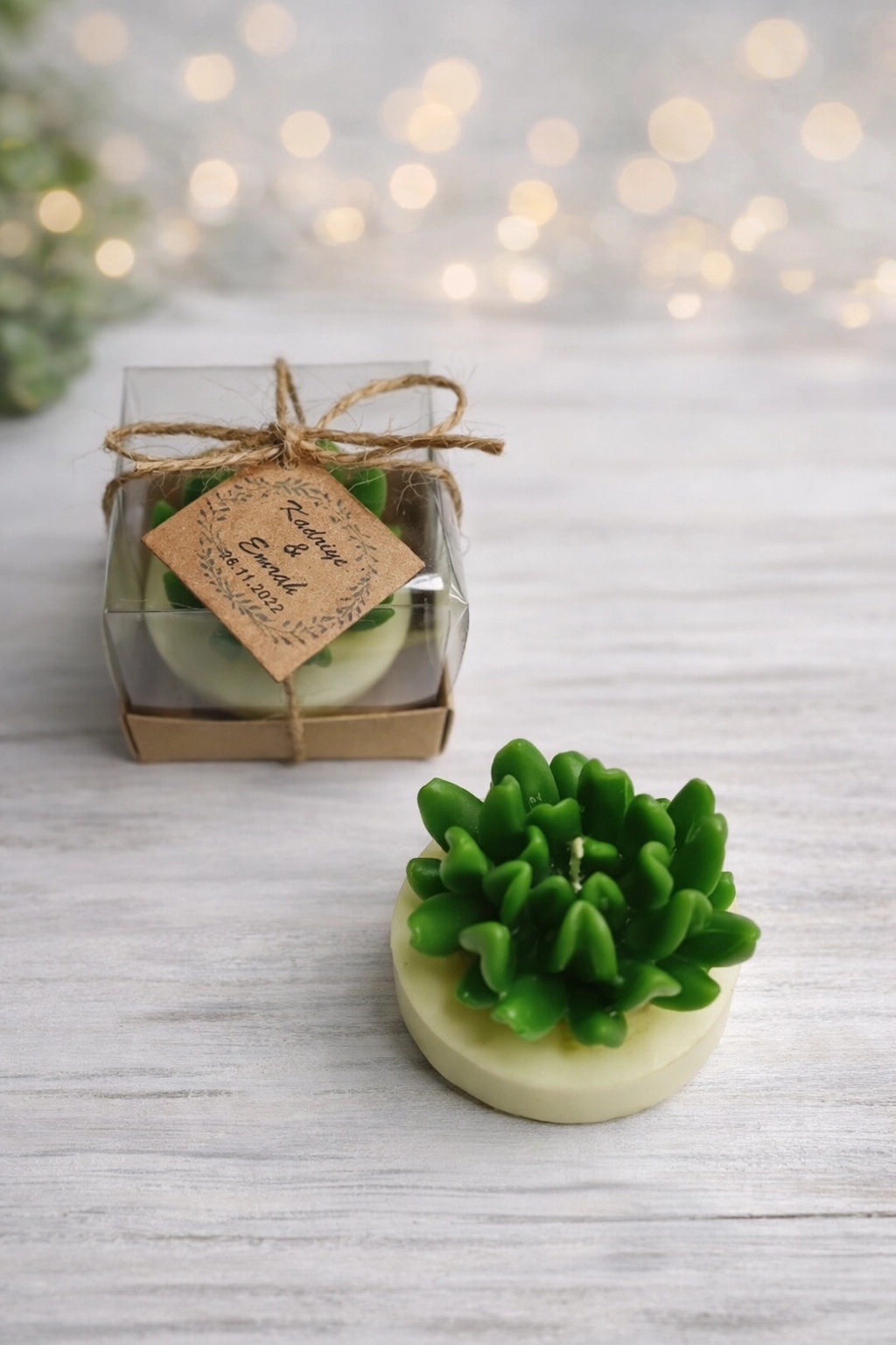 Sukulent Mum Model 14