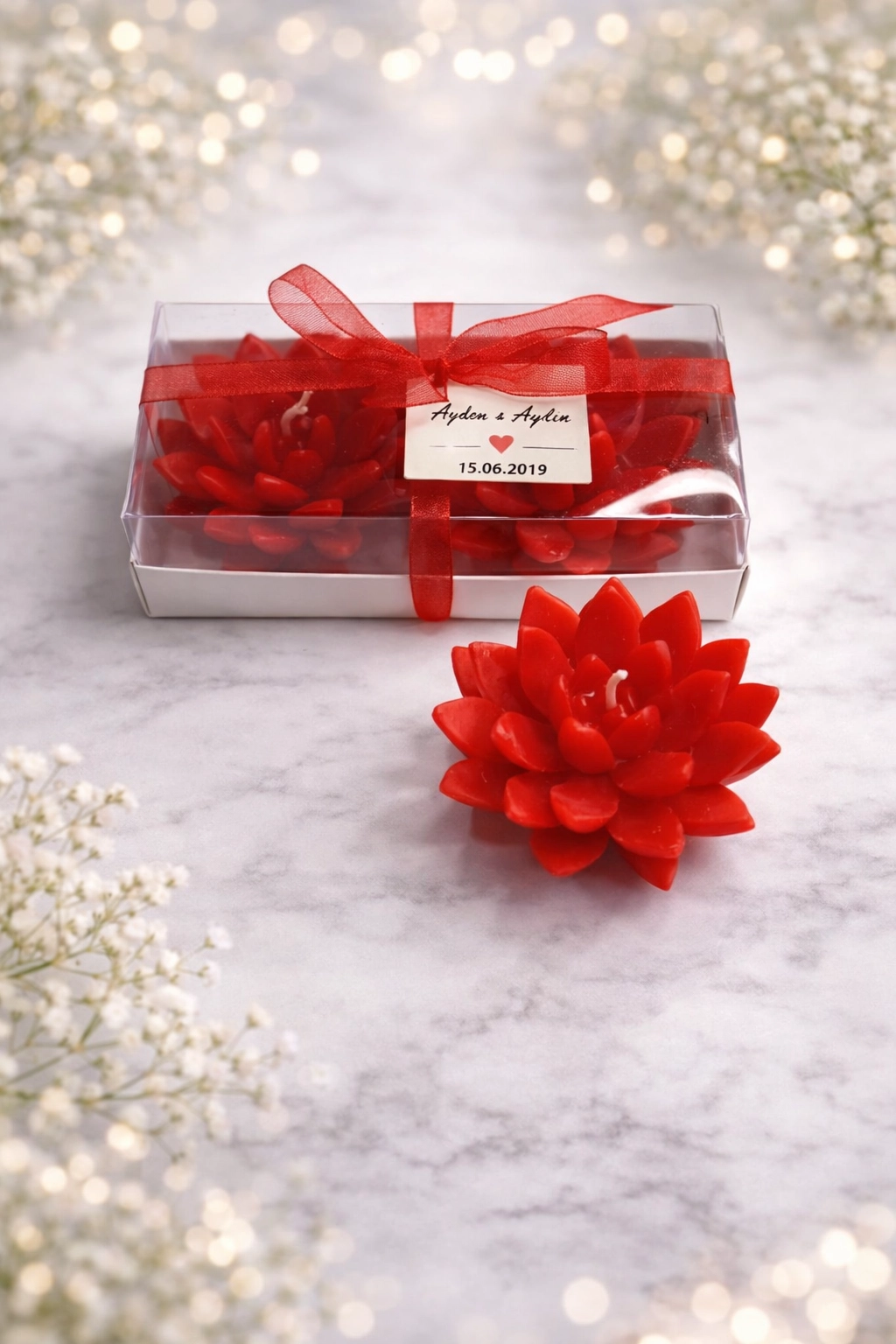 Sukulent Mum Model 12 İkili Set 