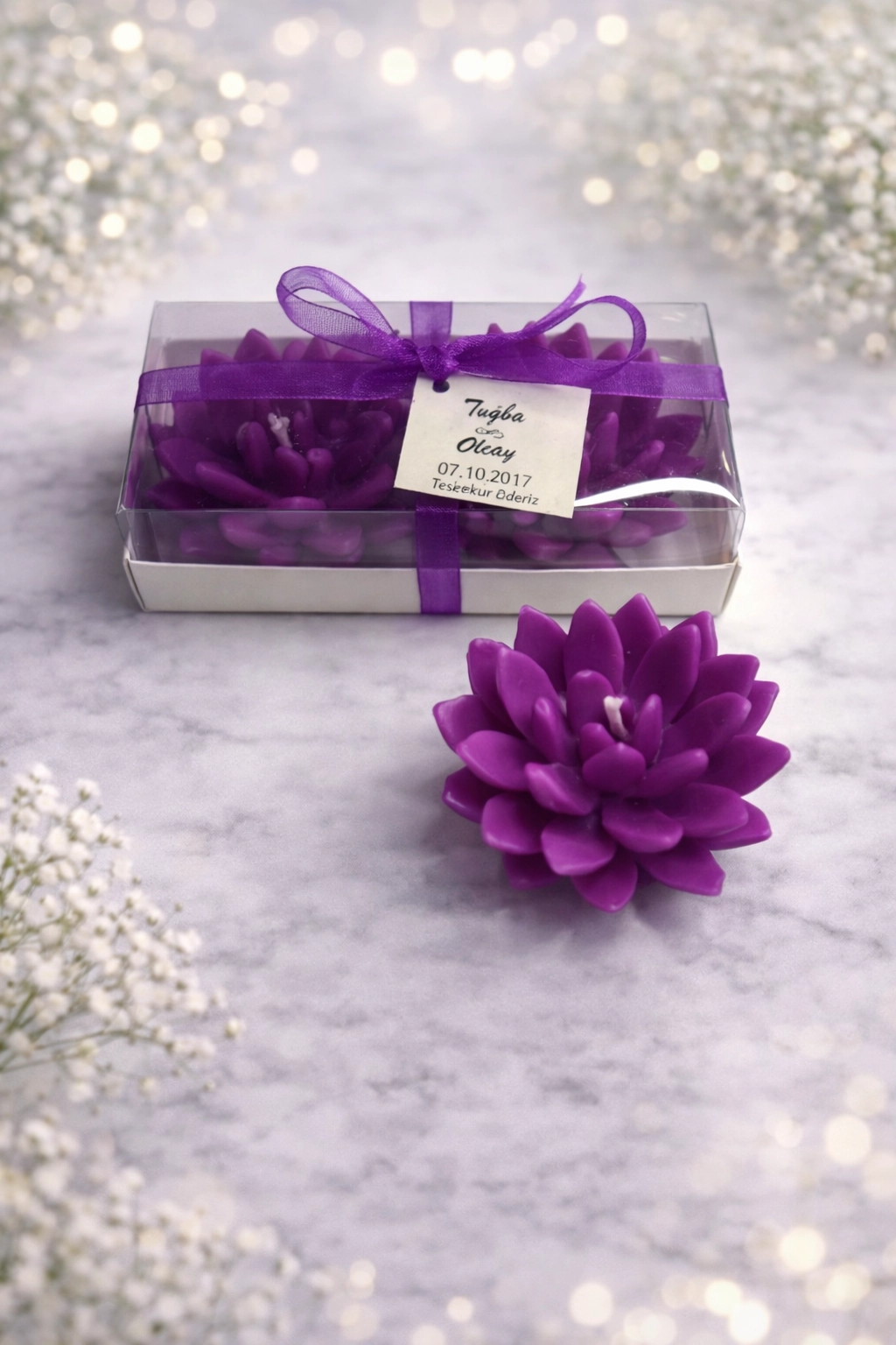 Sukulent Mum Model 12 İkili Set 