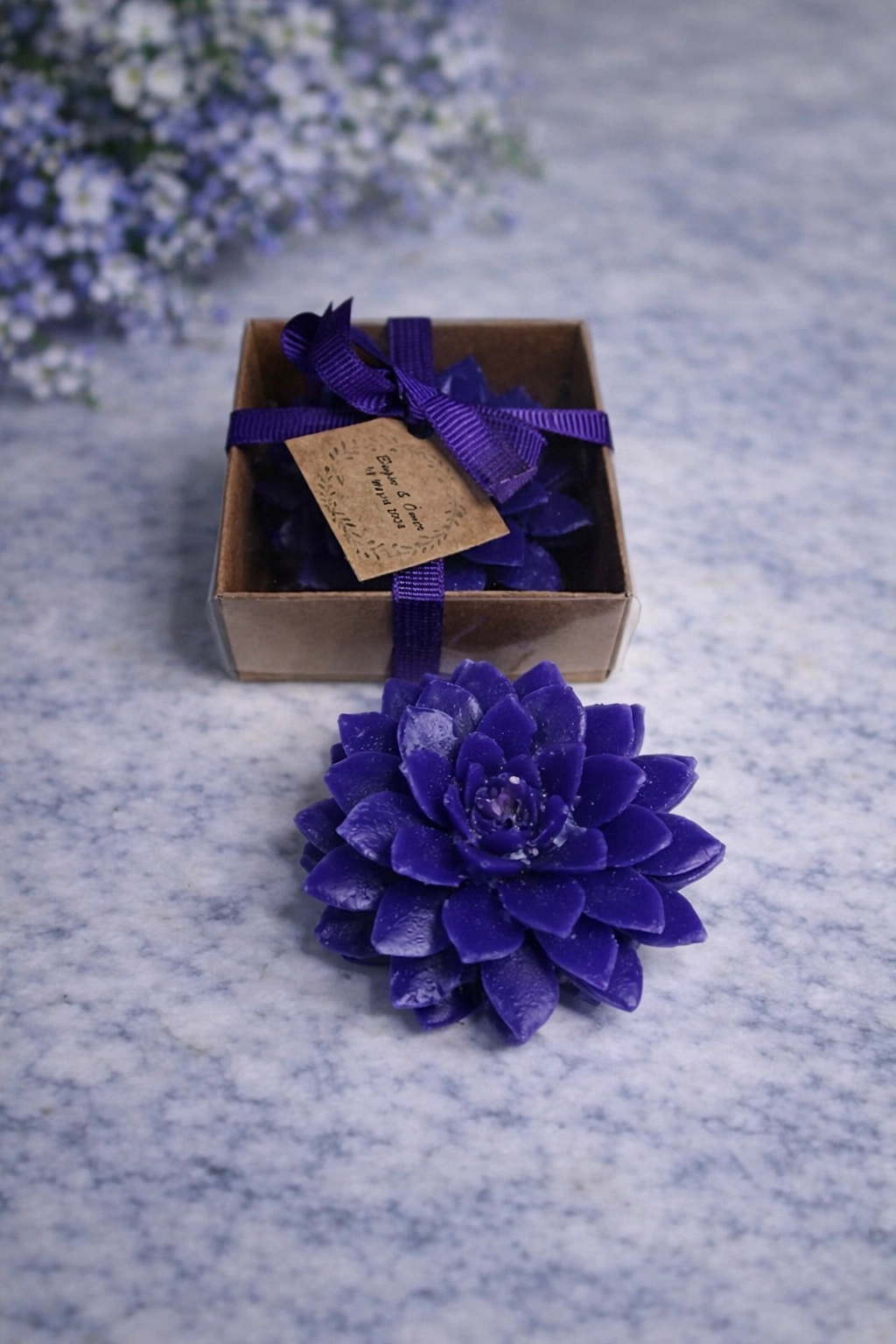 Sukulent Mum Model 9 