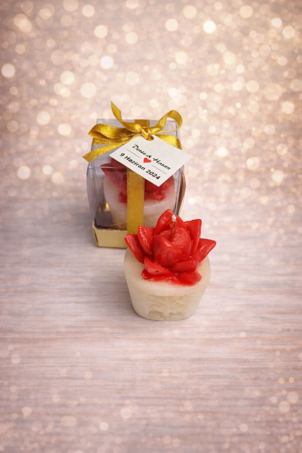 Sukulent Mum Model 3 