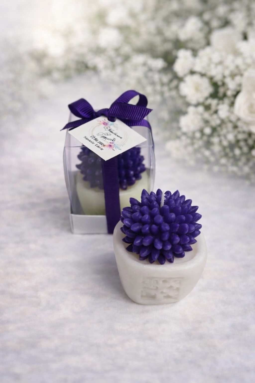 SUKULENT MUM 2 MODELİ