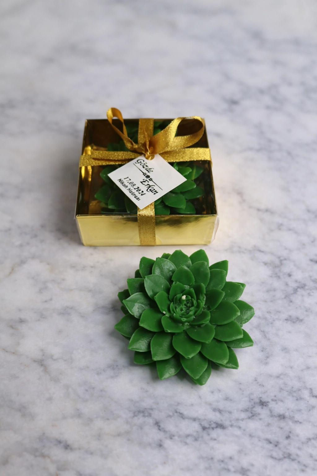 Sukulent Mum Model 9 