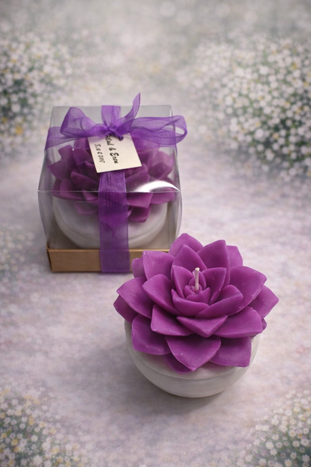 BÜYÜK BOY SUKULENT MUM EÇEVERYA