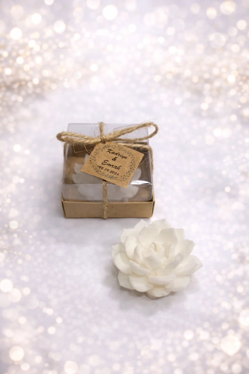 SUKULENT MUM 10 MODELİ