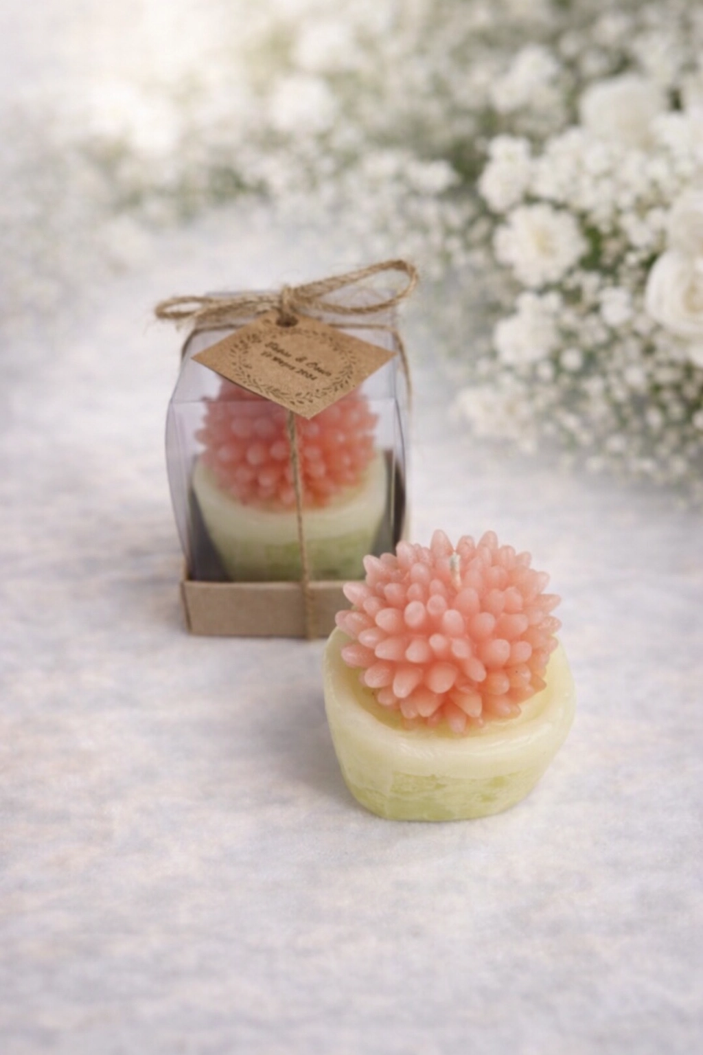 SUKULENT MUM 2 MODELİ