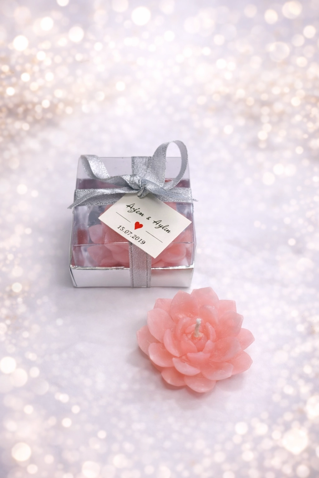 SUKULENT MUM 10 MODELİ