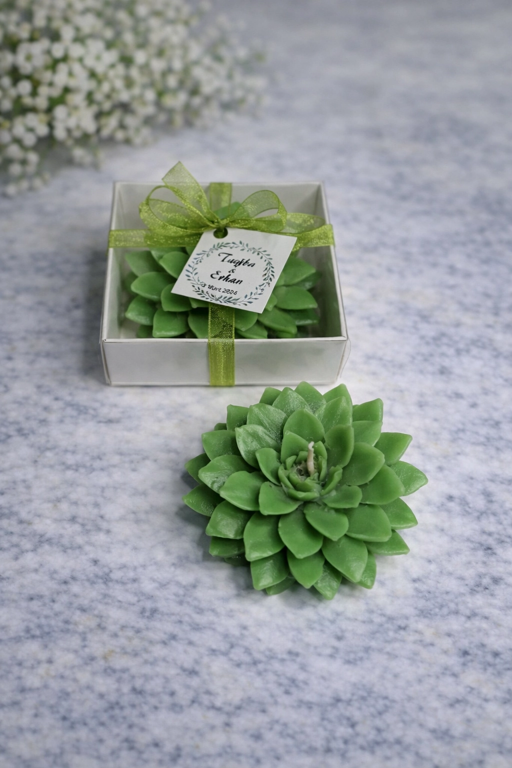 Sukulent Mum Model 9 