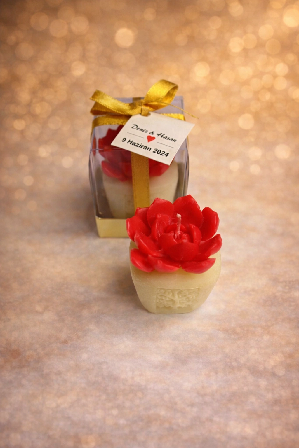 Sukulent Mum Model 7