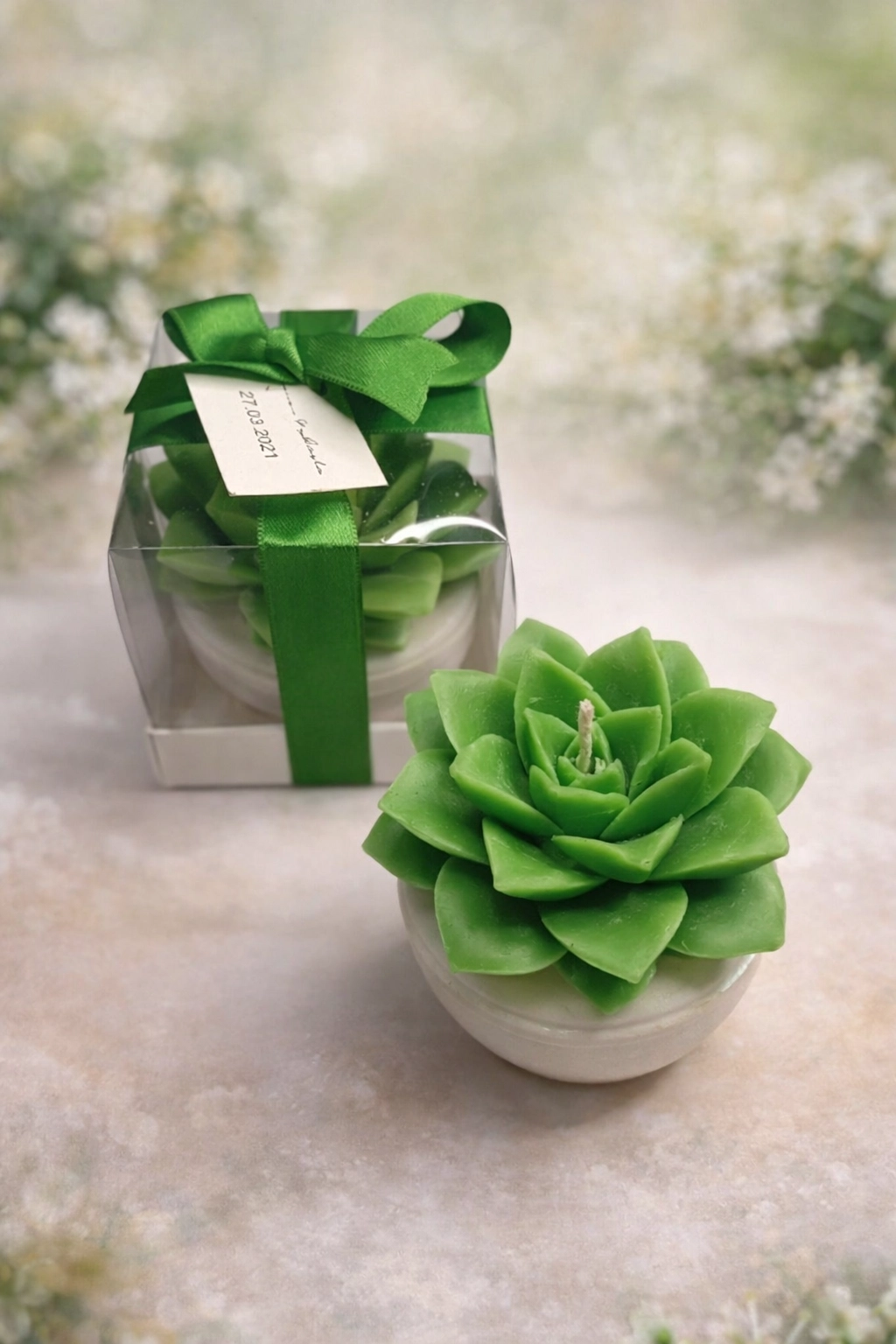 BÜYÜK BOY SUKULENT MUM EÇEVERYA