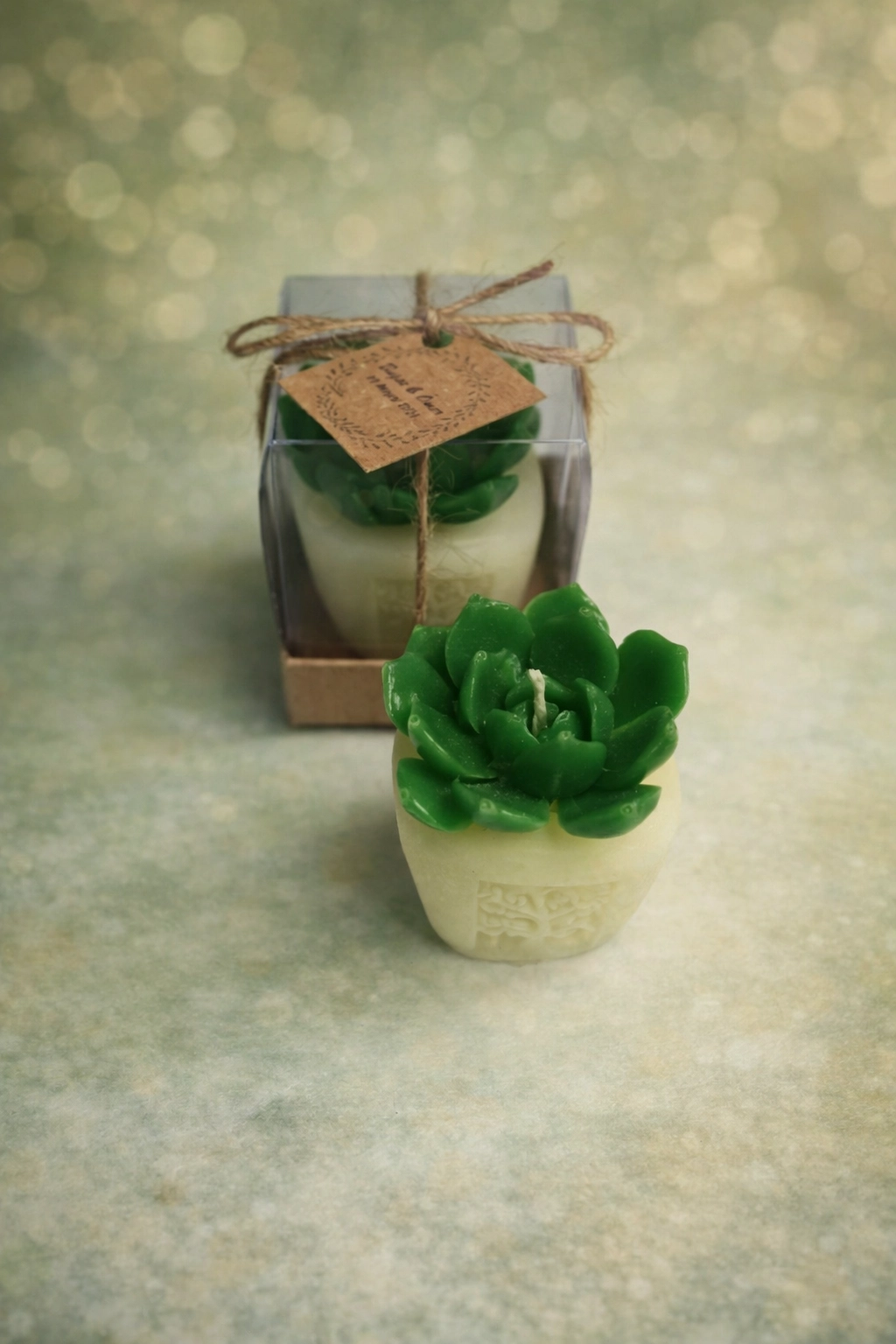 Sukulent Mum Model 7