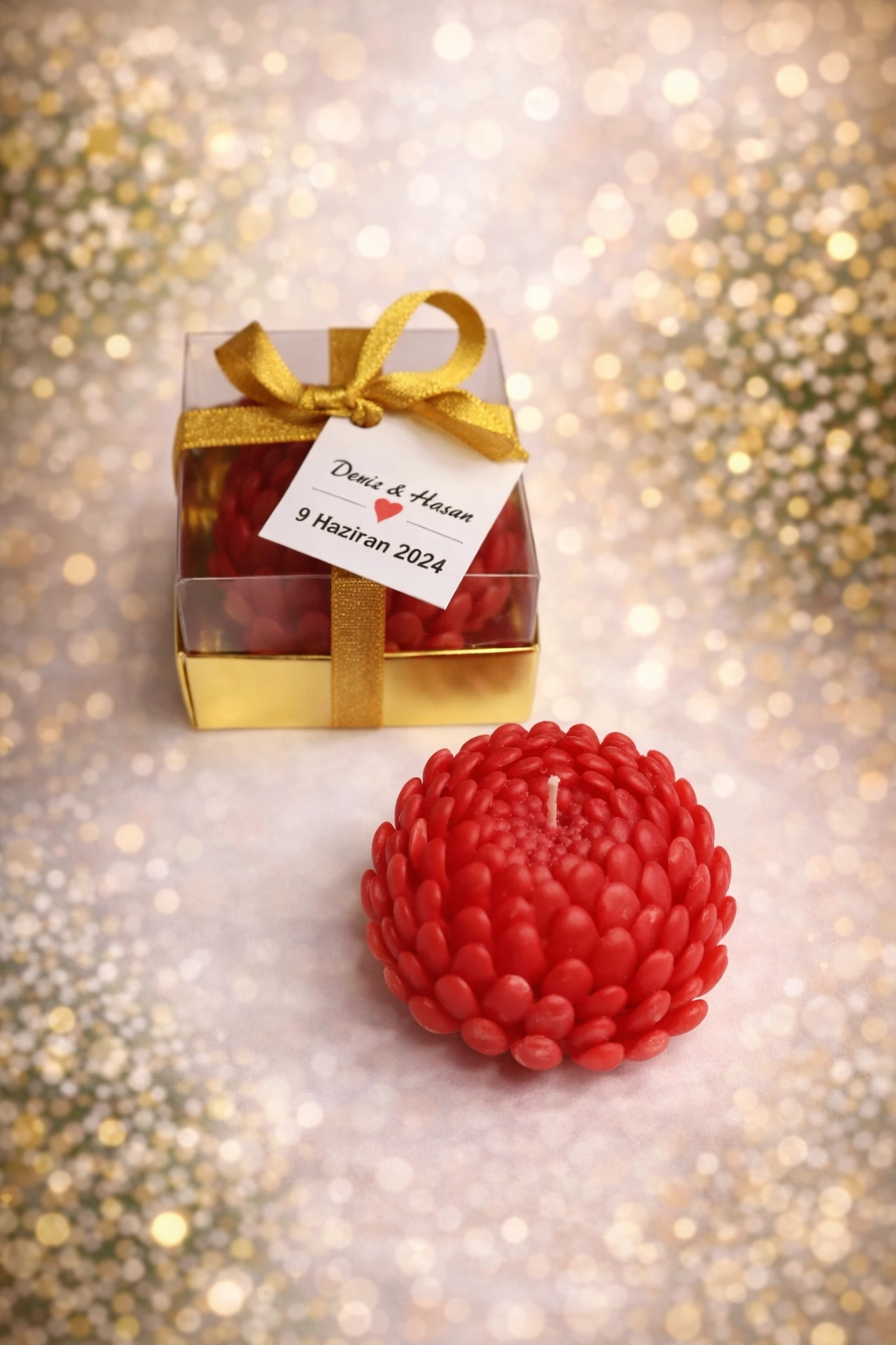 SUKULENT MUM 15 MODELİ 