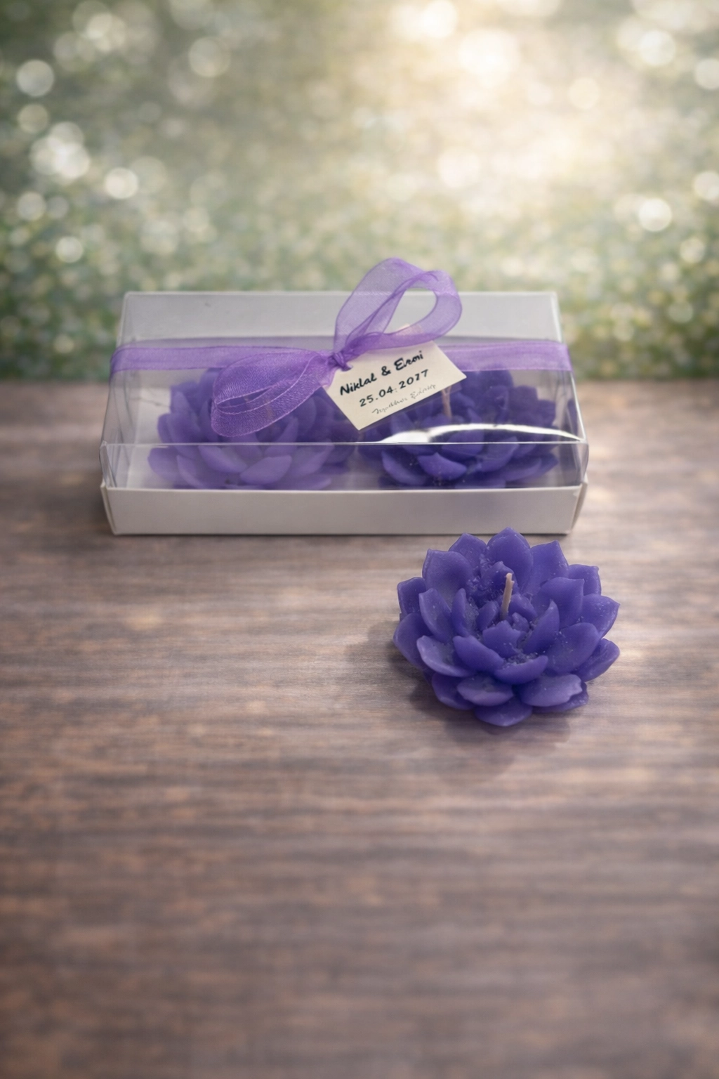 Sukulent Mum Model 10 İkili Set 