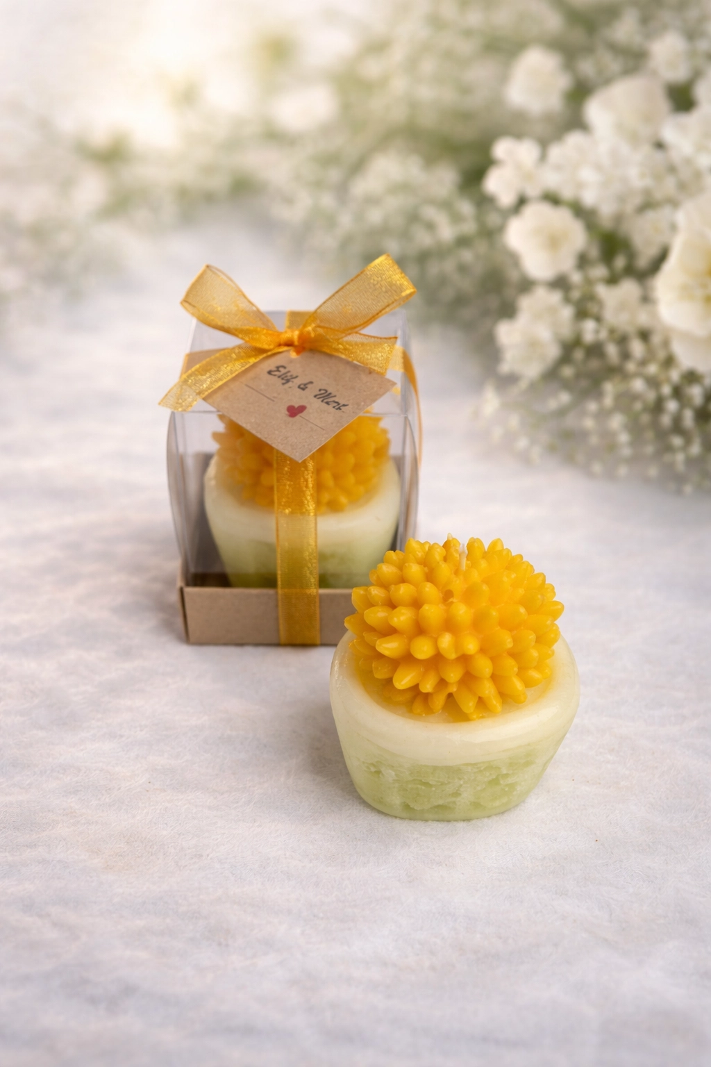 SUKULENT MUM 2 MODELİ