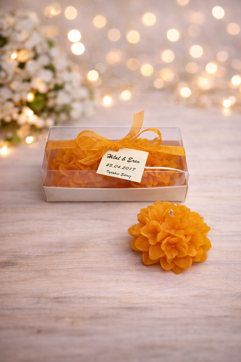 Ortanca Mum Model 1 İkili Set 