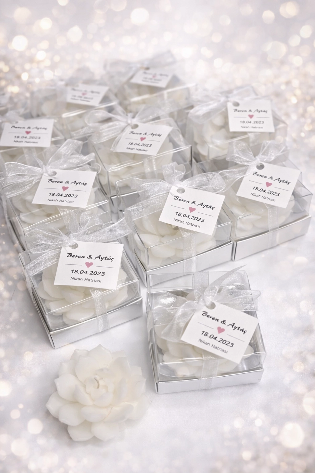 SUKULENT MUM 10 MODELİ