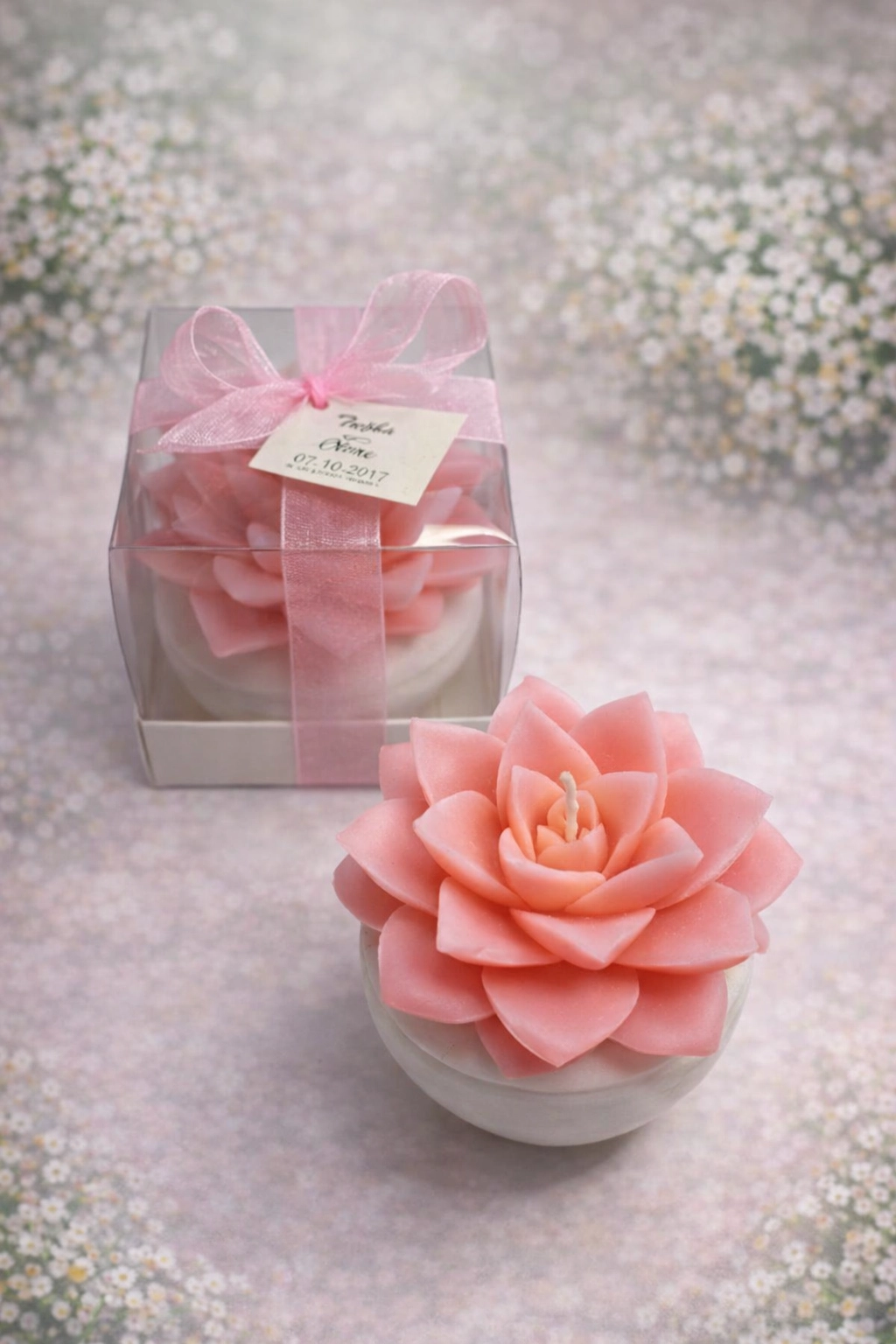 BÜYÜK BOY SUKULENT MUM EÇEVERYA