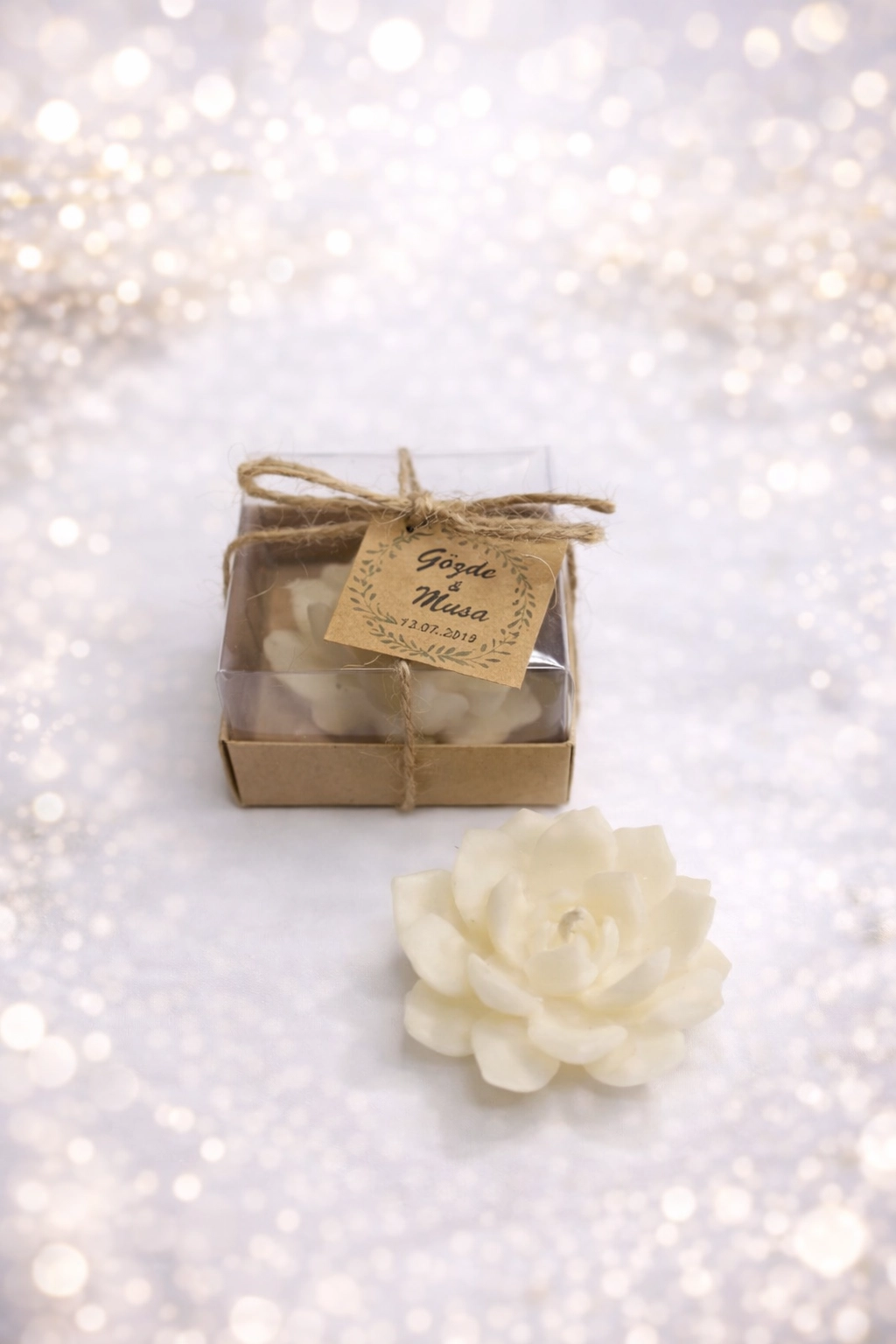 SUKULENT MUM 10 MODELİ