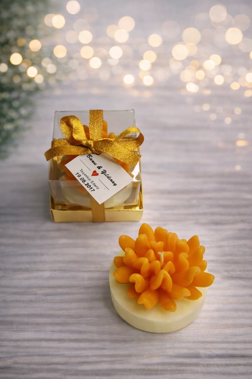 Sukulent Mum Model 14