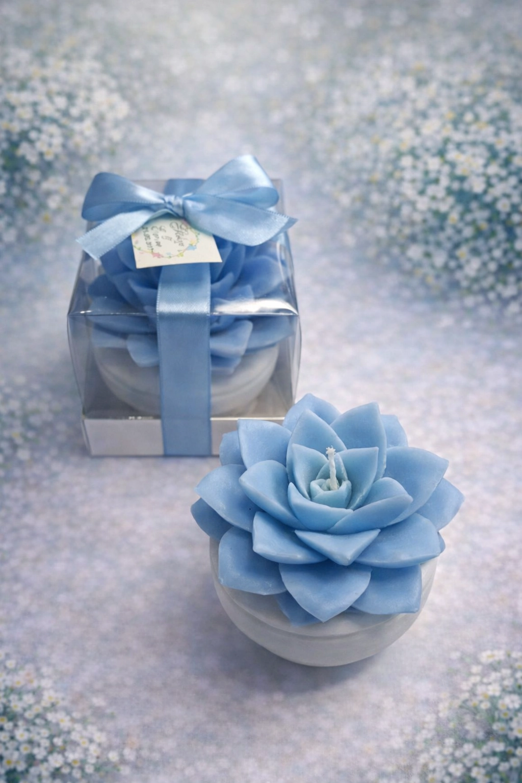 BÜYÜK BOY SUKULENT MUM EÇEVERYA