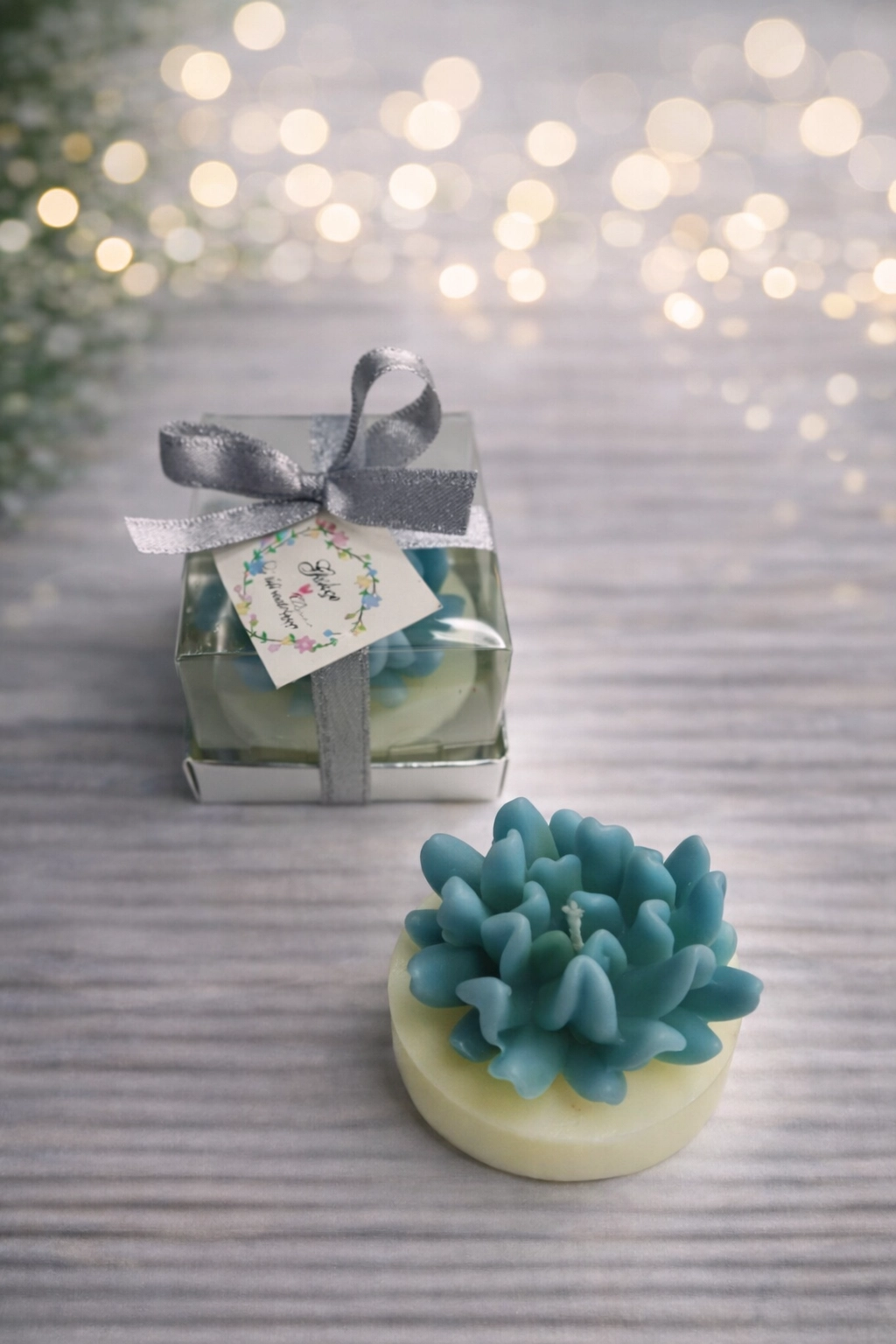 Sukulent Mum Model 14