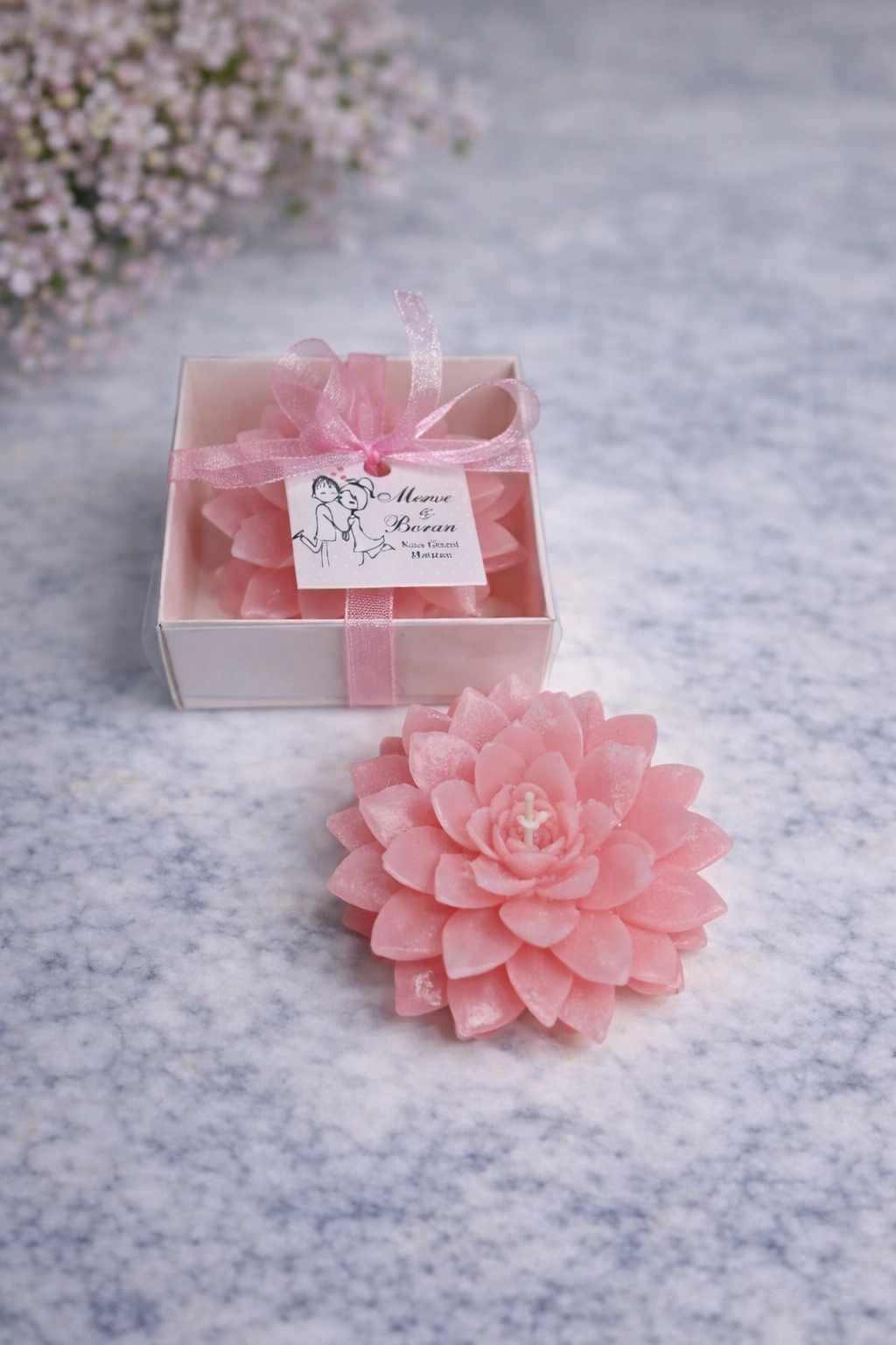 Sukulent Mum Model 9 