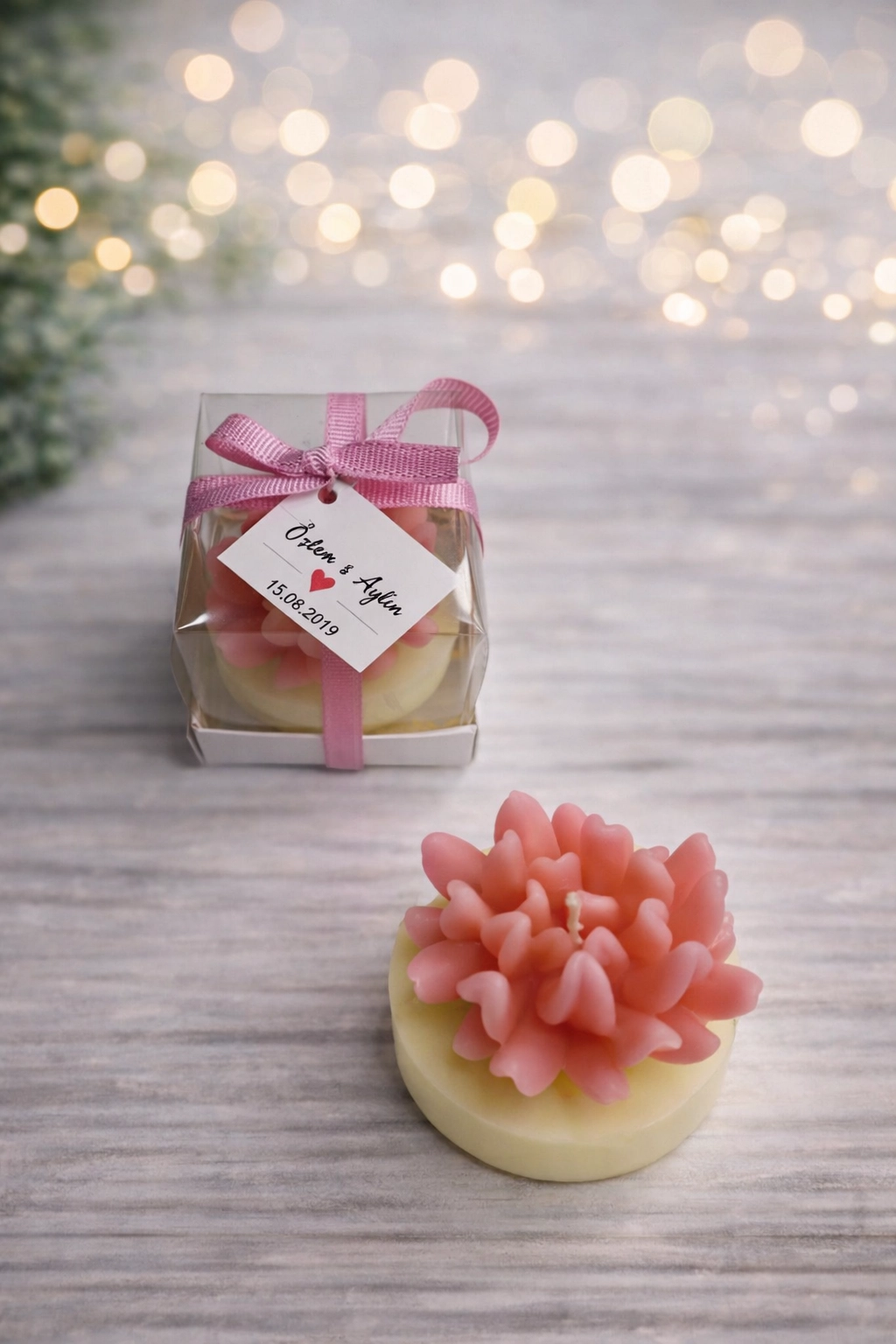 Sukulent Mum Model 14