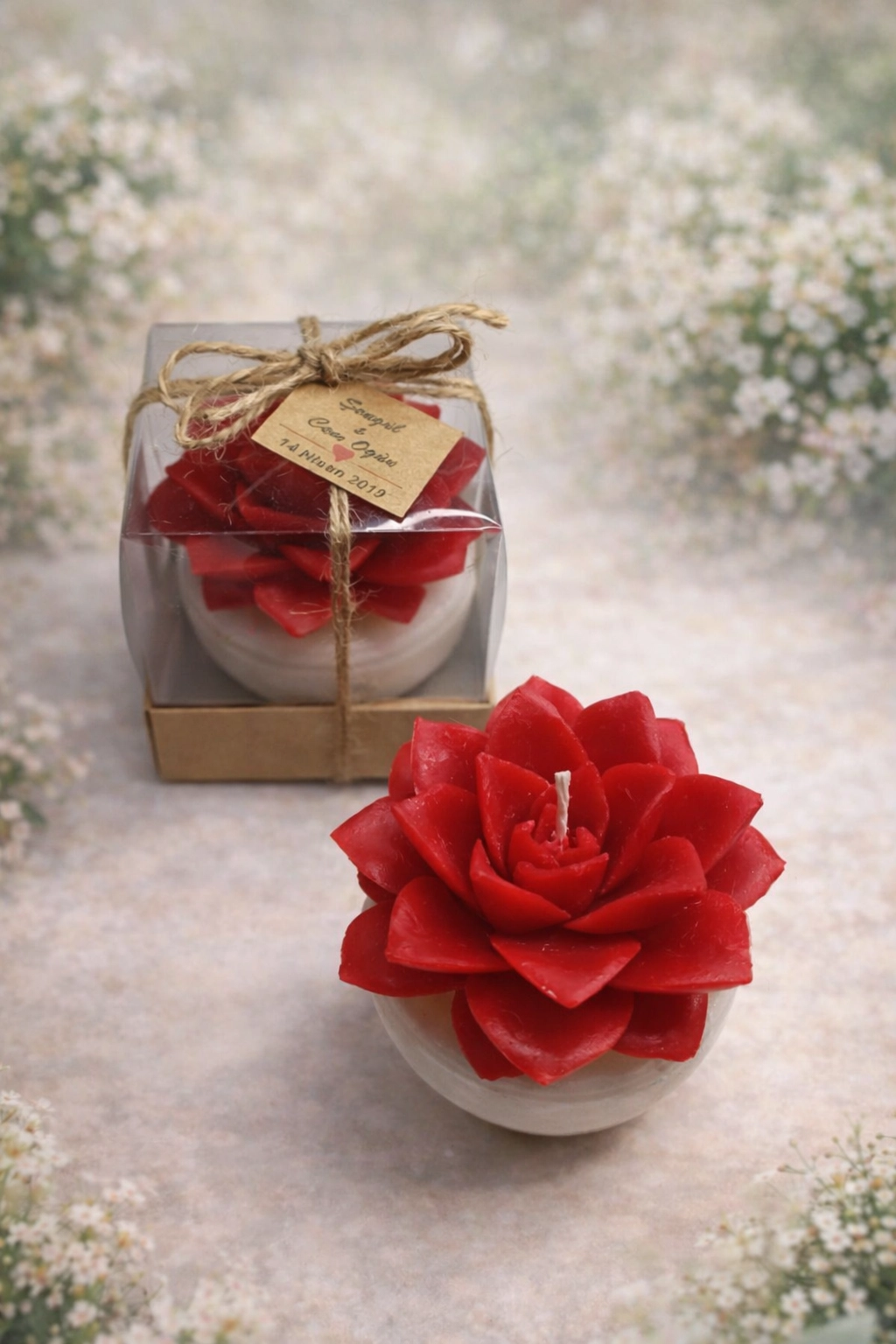 BÜYÜK BOY SUKULENT MUM EÇEVERYA