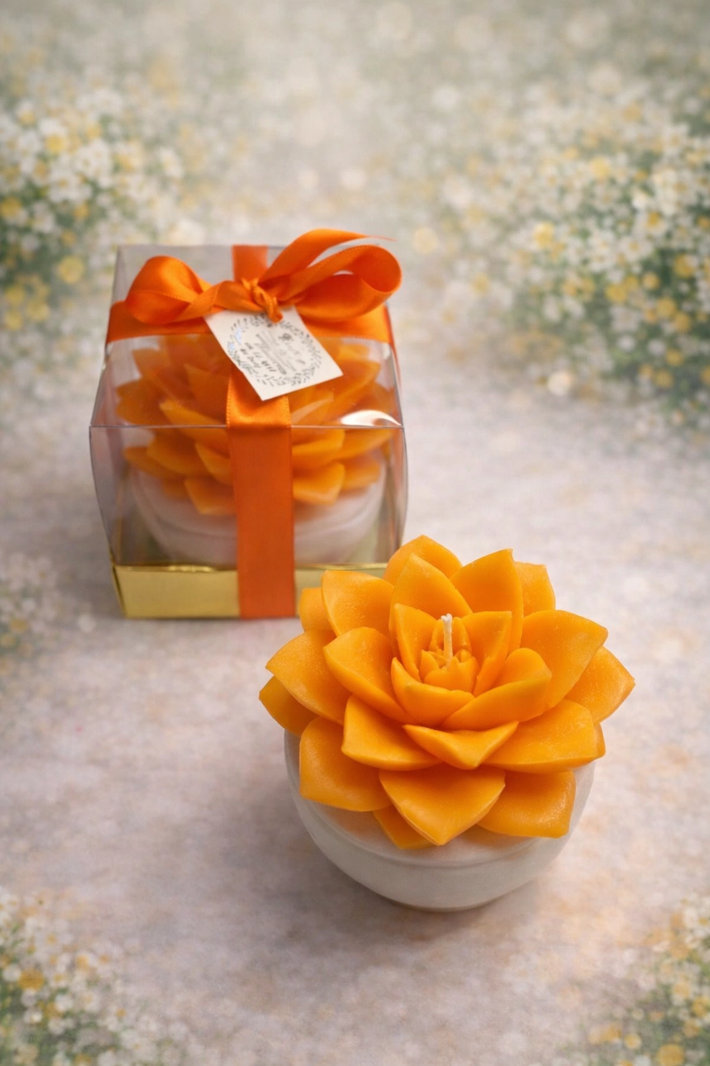 BÜYÜK BOY SUKULENT MUM EÇEVERYA