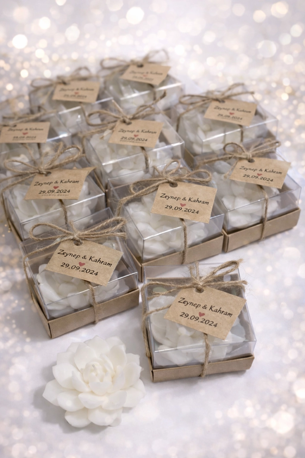 SUKULENT MUM 10 MODELİ