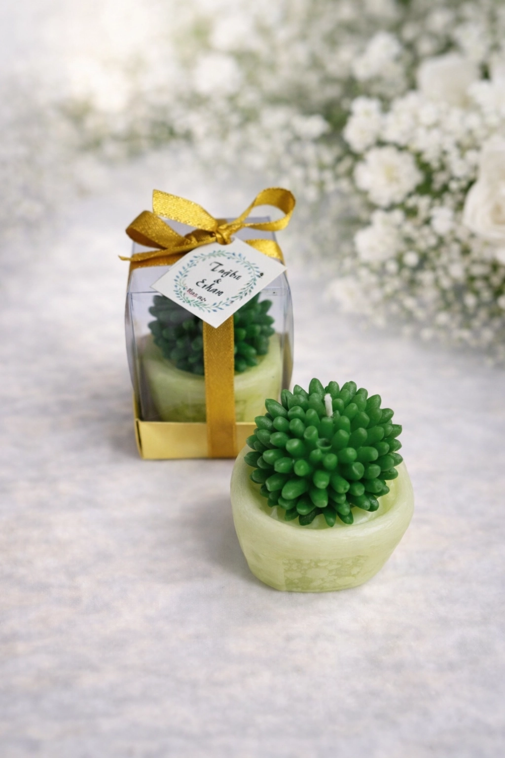 SUKULENT MUM 2 MODELİ