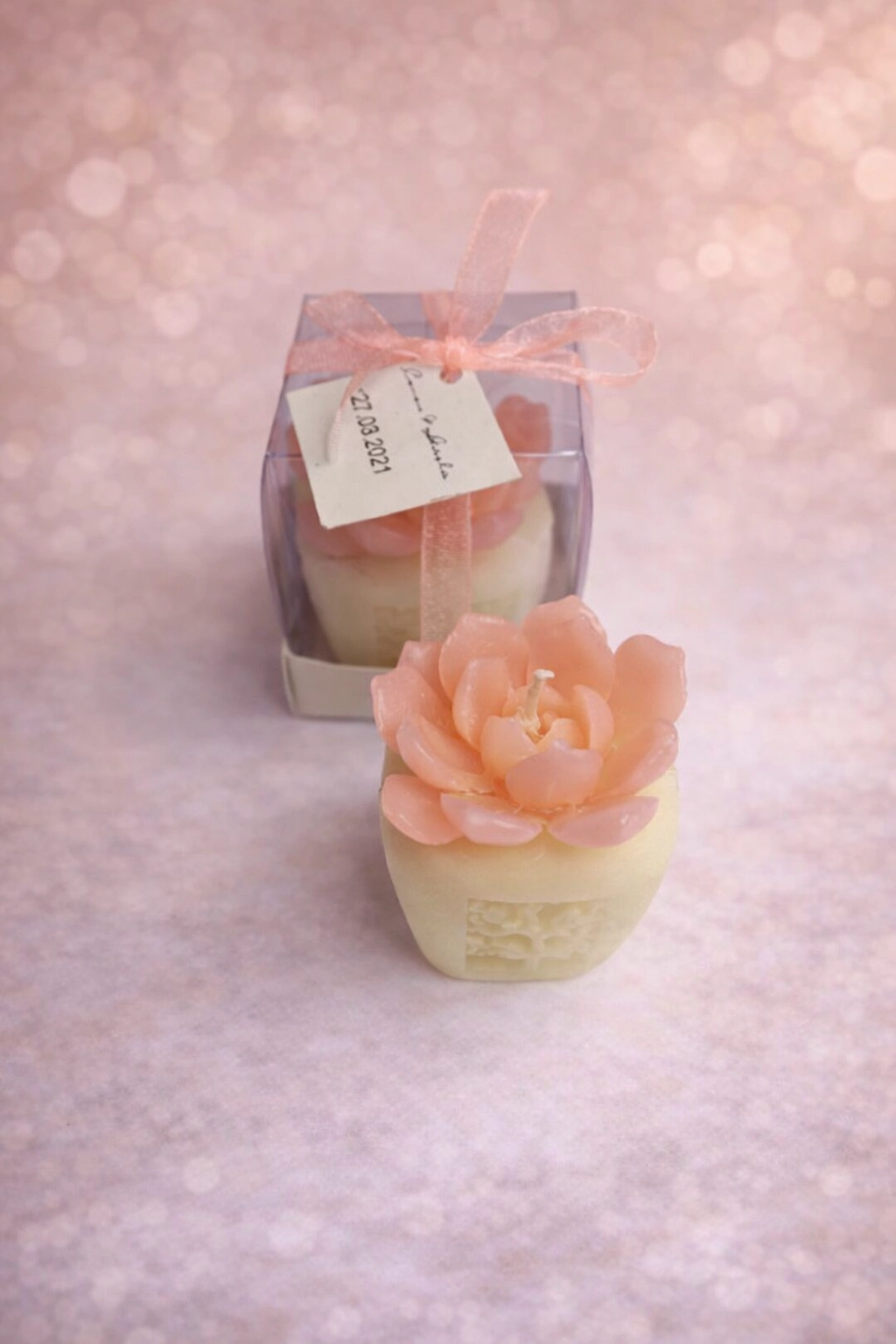 Sukulent Mum Model 7