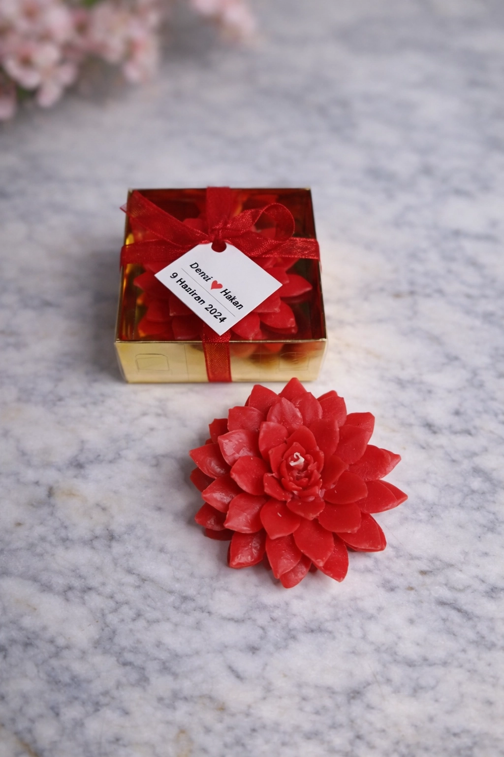 Sukulent Mum Model 9 