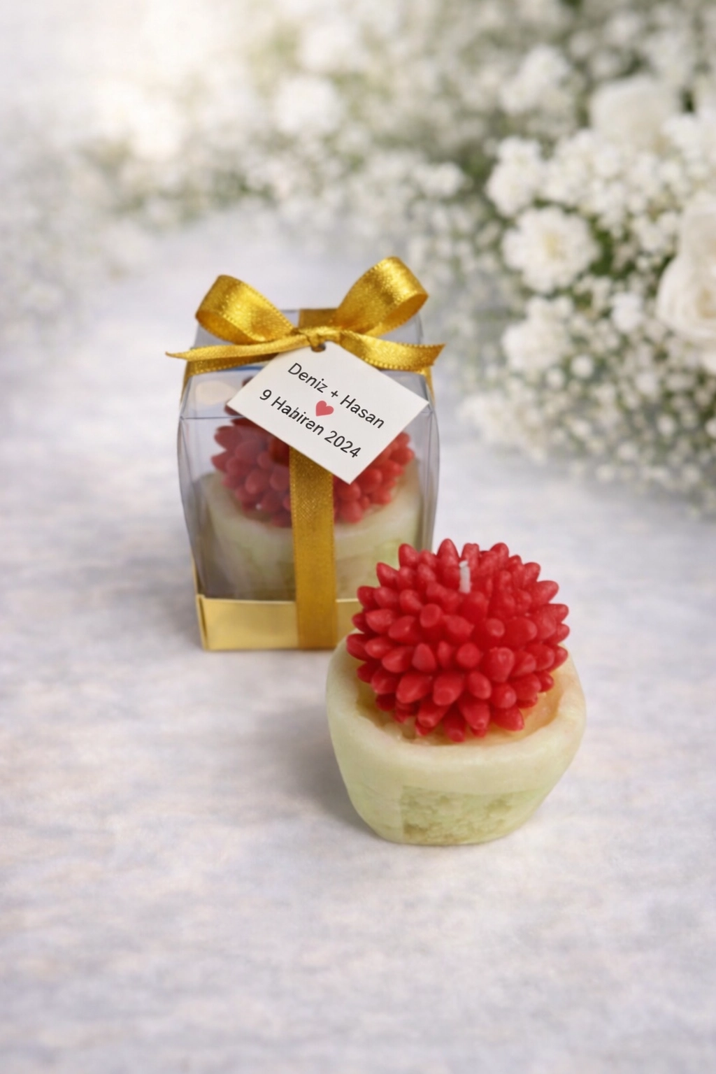 SUKULENT MUM 2 MODELİ