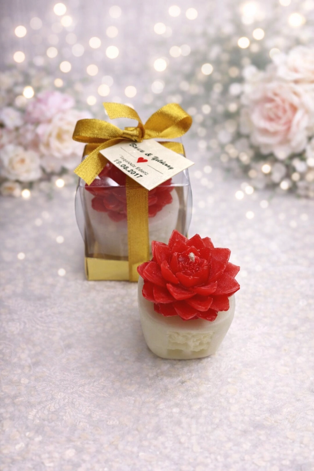 Sukulent Mum Model 4 