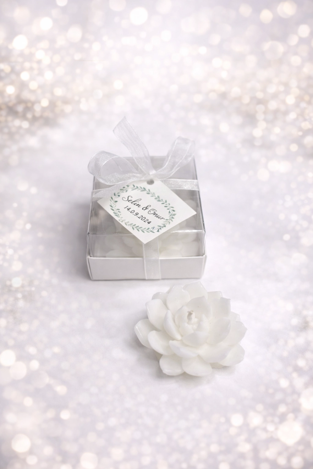 SUKULENT MUM 10 MODELİ