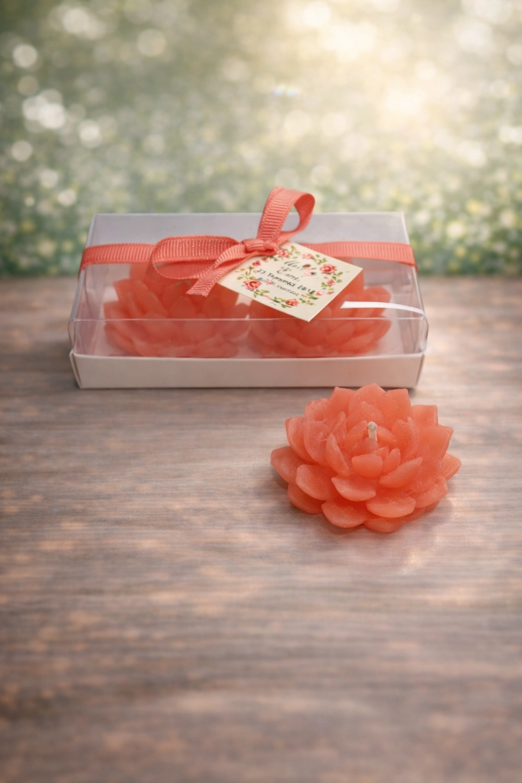 Sukulent Mum Model 10 İkili Set 