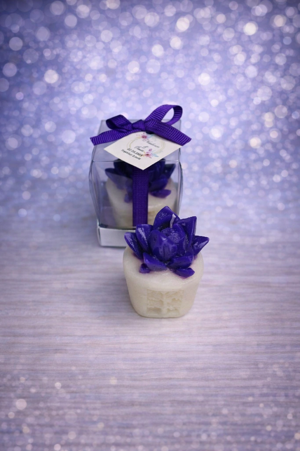 Sukulent Mum Model 3 