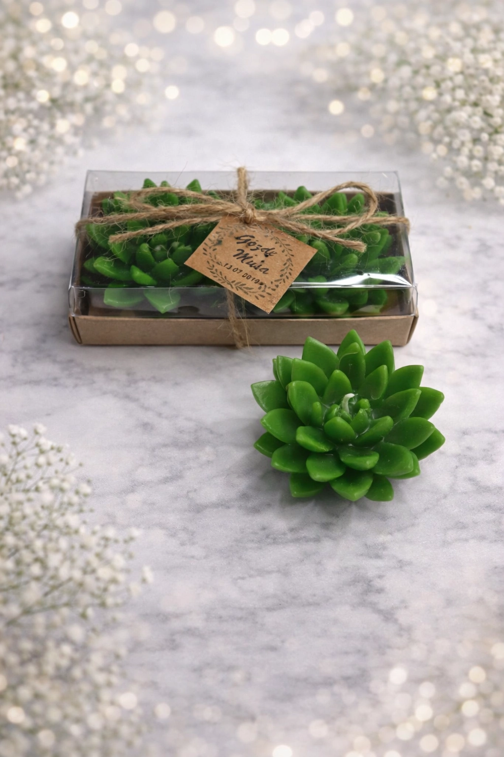 Sukulent Mum Model 12 İkili Set 