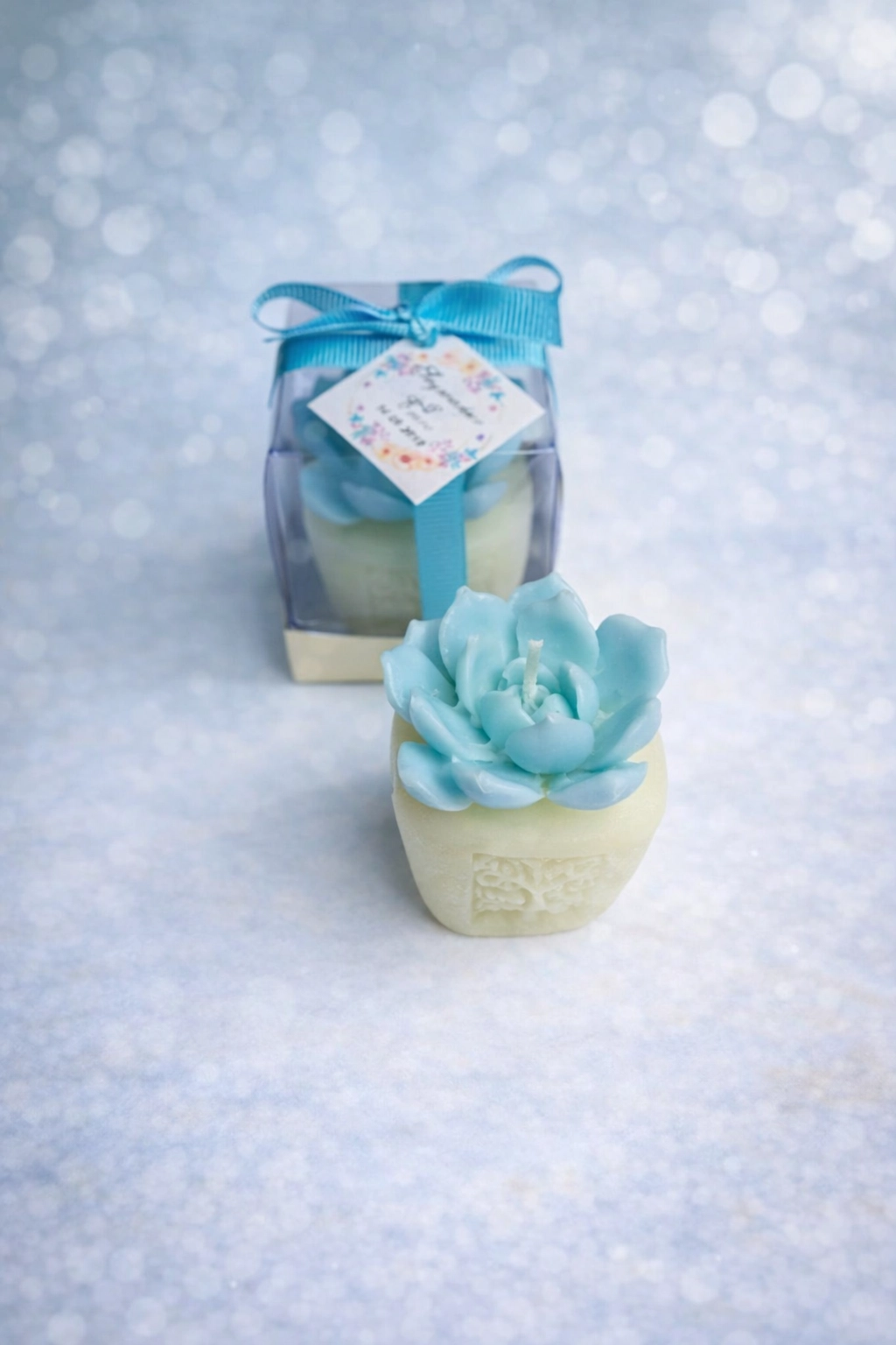 Sukulent Mum Model 7