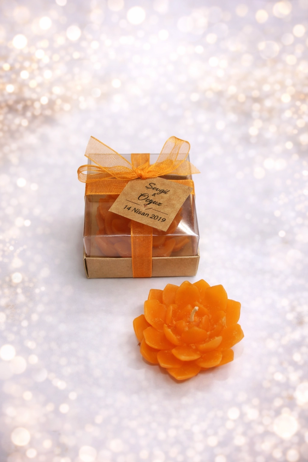 SUKULENT MUM 10 MODELİ