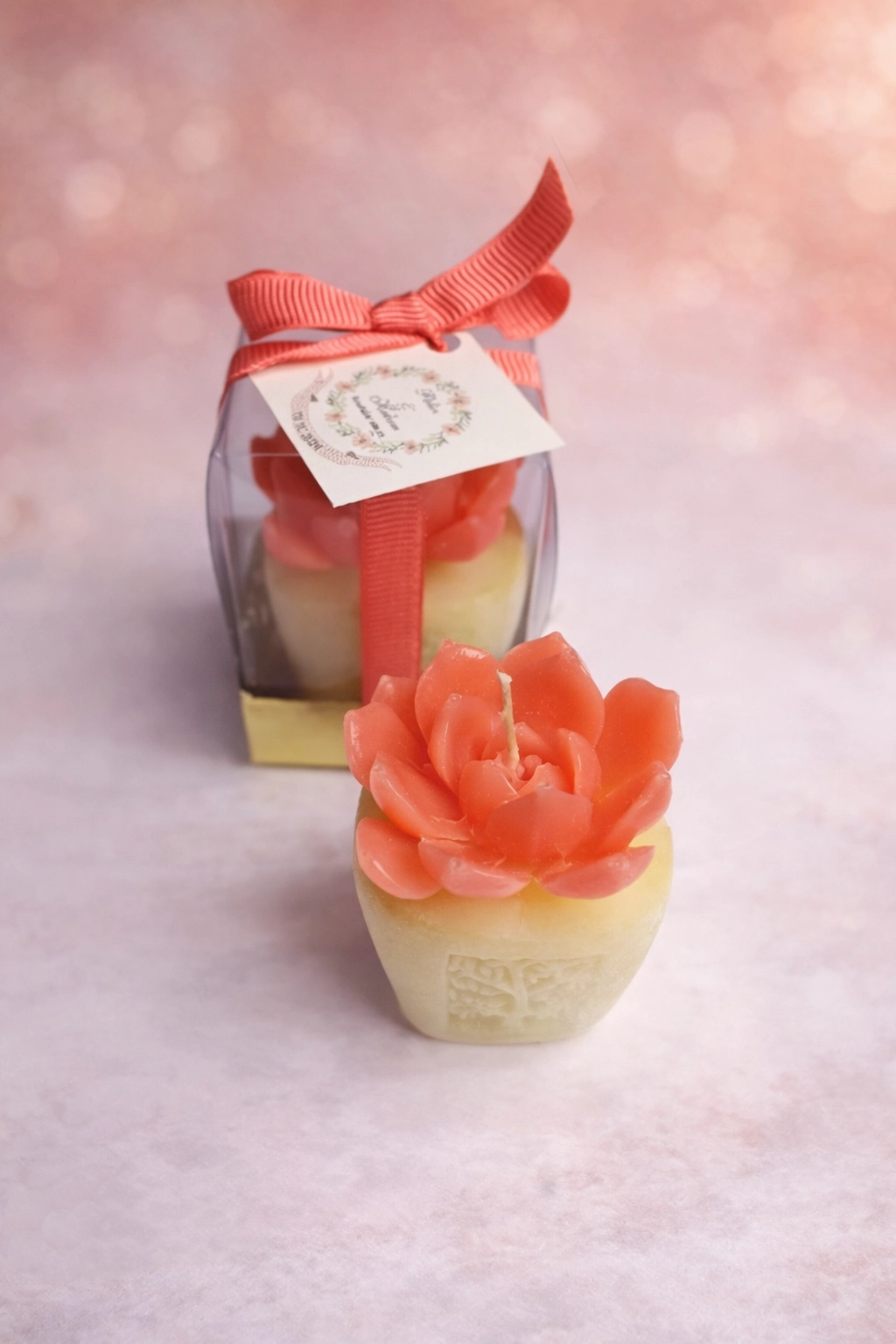 Sukulent Mum Model 7