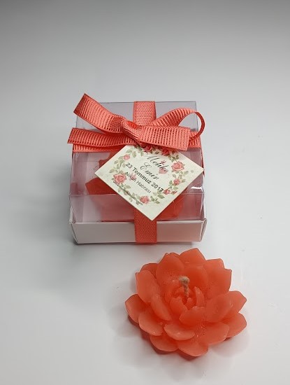 SUKULENT%20MUM%2010%20MODELİ